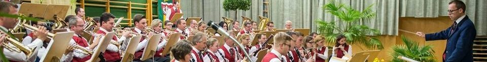 Musikverein Schönering