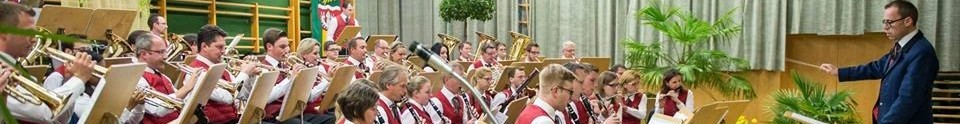 Musikverein Schönering